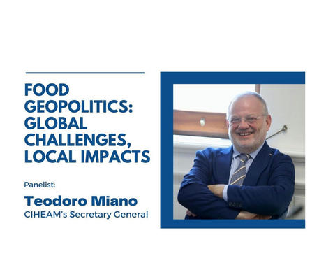 CIHEAM : Food Geopolitics: Global challenges, local impacts | MED-Amin network | Scoop.it