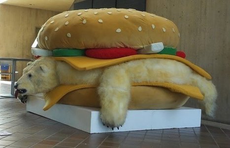 Vincent J.F. Huang: Polar Bear Hamburger,  2014 | Art Installations, Sculpture, Contemporary Art | Scoop.it