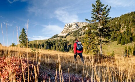 &laquo;Nous voulons rendre aussi attractifs que possible les voyages plus responsables&raquo;&nbsp; | Tourisme durable | Scoop.it