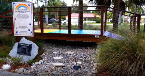 Rainbow Bridge Pet Memorial opens in SWFL to honor lost pets | Lee County | winknews.com | Grief & Bereavement Counseling | Scoop.it