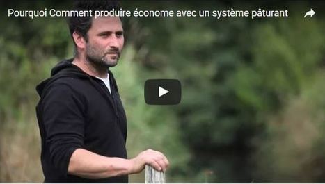 « J'ai amélioré mes résultats économiques avec un système pâturant » | Lait de Normandie... et d'ailleurs | Scoop.it