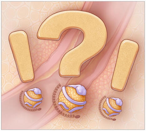Where Next for Lp(a)? | Ziad Mallat | Laboratory Medicine | Scoop.it