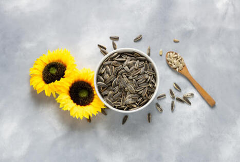 Les textures croustillantes sont &agrave; l&rsquo;honneur et les graines de tournesol n&rsquo;en manquent pas - L'actualit&eacute; Alimentaire | Agroalimentaire | Scoop.it