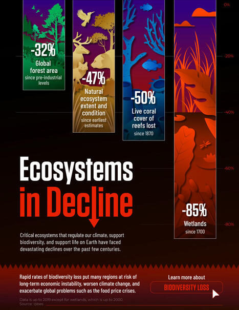 Visualized: The Decline of Earth&rsquo;s Ecosystems | Biodiversit&eacute; : les chiffres-cl&eacute;s | Scoop.it