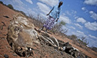 Consciences awakened by the camera | Photography Now | Scoop.it