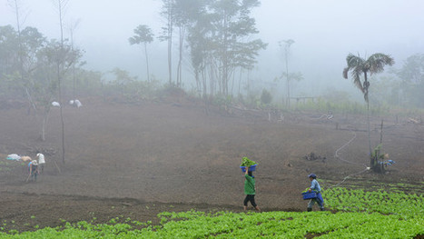 The digital revolution liberating Latin American people - FT.com - Financial Times | Peer2Politics | Scoop.it