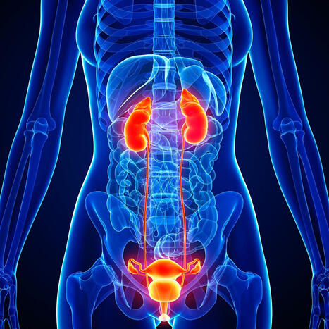 M&eacute;nopause : des sympt&ocirc;mes persistants peuvent cacher un syndrome largement ignor&eacute; | Actualit&eacute;s VIH, h&eacute;patites, IST, sant&eacute; sexuelle | Scoop.it