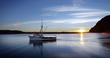 California coastal waters rising in acidity at alarming rate, study finds | Coastal Restoration | Scoop.it