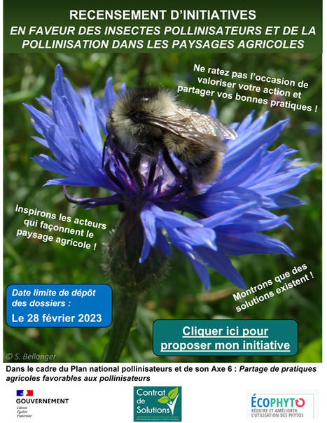 Appel à initiatives pour des pratiques agricoles favorables aux POLLINISATEURS - DRAAF Nouvelle-Aquitaine | Variétés entomologiques | Scoop.it