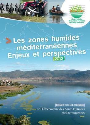RESULTATS DE SUIVI | Mediterranean Wetlands Observatory | ECOLOGIE - ENVIRONNEMENT | Scoop.it