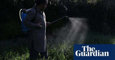 Firms making billions from ‘highly hazardous’ pesticides, analysis finds | Environment | The Guardian | Microeconomics: IB Economics | Scoop.it