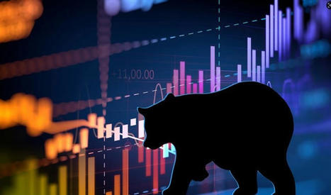 Why a Bear Market Is an Investor’s Best Friend | Online Marketing Tools | Scoop.it