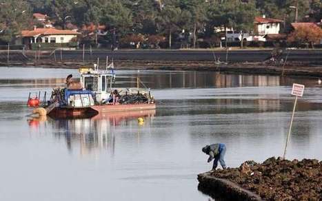 Lac d’hossegor : la justice rejette le recours de la Sepanso  | Landes | Scoop.it