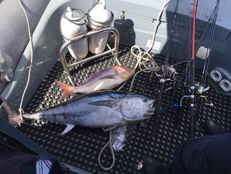 Braconnage : une partie de pêche peut coûter très cher... | Camargue Nature | Scoop.it