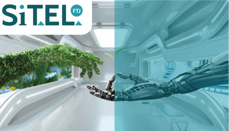 Sitel FTJ : nouvel outil pour suivre les transformations de l'emploi local en Normandie | Prospective emploi compétence | Scoop.it