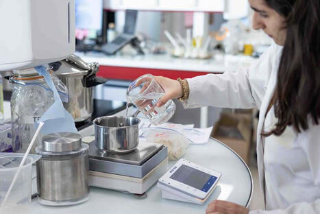 En France, les ETI dynamisent les territoires moins industrialisés | Newsletter | Scoop.it