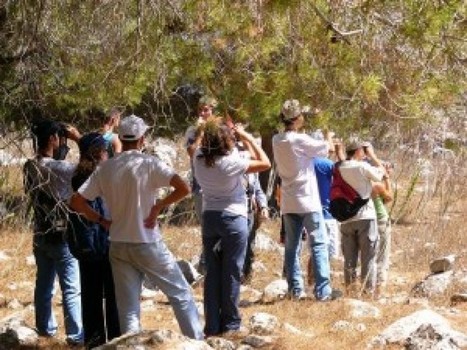 Hima: An Islamic Tradition of the Commons | On the Commons | Peer2Politics | Scoop.it