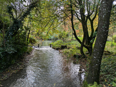 Le rapport HMUC (Hydrologie, Milieux, Usages, Climat) du bassin du Clain | Lire, se documenter, savoir... Bibliographie portant sur nos thématiques | Scoop.it
