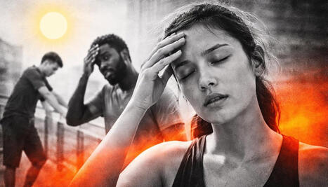 In&eacute;dit : une &eacute;tude r&eacute;v&egrave;le ce que la chaleur fait &agrave; notre cerveau d&egrave;s des temp&eacute;ratures &laquo;&nbsp;normales&nbsp;&raquo; | Veille UrbaLyon : Sant&eacute; environnementale & bienfaits du v&eacute;g&eacute;tal | Scoop.it