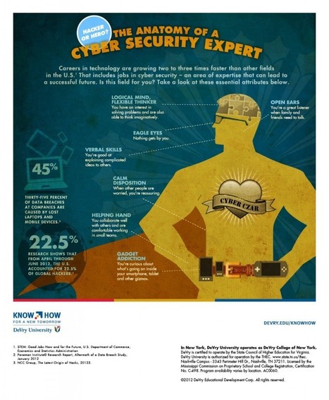 Infographic: Anatomy of a Cyber Security Expert | ICT Security-Sécurité PC et Internet | Scoop.it