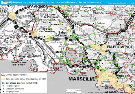 [Vid&eacute;o] Le moustique-tigre bien pr&eacute;sent dans le sud | EntomoNews | Scoop.it