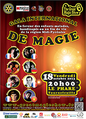 Le Rotary Club Toulouse Terre d’Envol présente : Le Great Magic Show - l’histoire d’une action / Volet 1 – La naissance | rotary | Scoop.it