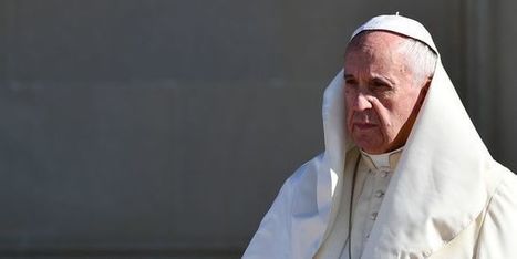 Le pape d&eacute;nonce les manuels scolaires fran&ccedil;ais propageant la th&eacute;orie du genre | ACTUALIT&Eacute; | Scoop.it
