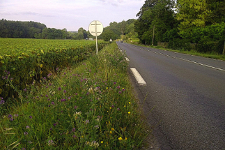 Gestion raisonnée des dépendances routières : la Dordogne mise sur la formation des agents | Biodiversité | Scoop.it