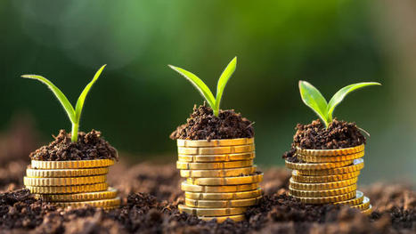 COP 22 : la question des financements climat repoussée à 2018 | Changement climatique & Biodiversité | Scoop.it