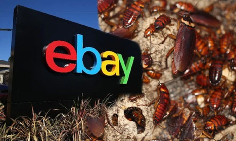 Ils avaient envoyé un fœtus de porc et des insectes vivants, les ex-cadres d'eBay condamnés | Variétés entomologiques | Scoop.it