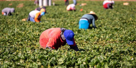 Iowa Republicans pass bill loosening restrictions on child labor - RawStory.com | Operation Phobos | Scoop.it