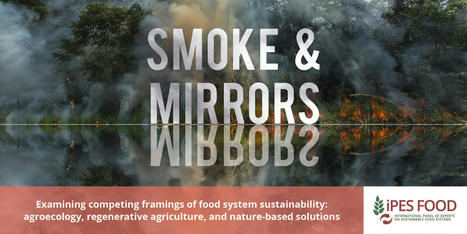 IPES food | Smoke & Mirrors : Agroecology, regenerative agriculture, and nature-based solutions | Agroecologie et Systèmes Alimentaires Durables | Scoop.it