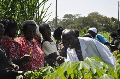 Gender sensitive policy, climate change adaptation and agriculture | Gender & Protection in East Africa | Scoop.it