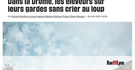 Des bénévoles pour aider les éleveurs dans le Drôme contre le loup | Loup | Scoop.it