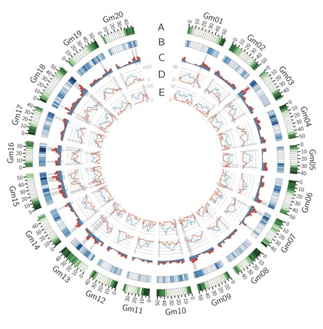 Preprint in bioRxiv &bull; Belzile/Torkamaneh Labs 2021 &bull;&nbsp;Combined use of Oxford Nanopore and Illumina sequencing yields insights into soybean structural variation biology&nbsp; | Originals | Scoop.it
