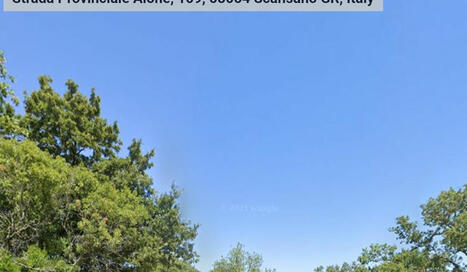 Bazaar: Sattumanvaraisia paikkoja | 1Uutiset - Lukemisen t&auml;hden | Scoop.it