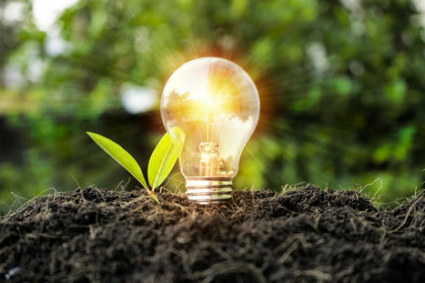 Energia 100% rinnovabile e risparmio in bolletta: l&rsquo;offerta NWG Energia | Sustainable Procurement News - Italian | Scoop.it