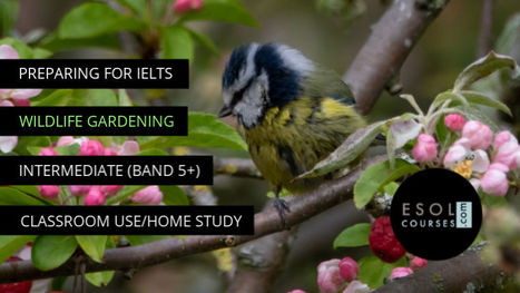 Wildlife Gardening - Free Online Academic IELTS Practice Tests | Reading Resources for ELT | Scoop.it