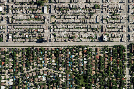 Face à la canicule, en ville, les arbres sont la meilleure parade | Biodiversité | Scoop.it