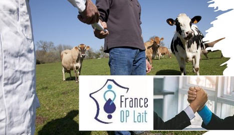 Contractualisation : « Des pratiques d’un autre temps » sur le prix du lait | Lait de Normandie... et d'ailleurs | Scoop.it