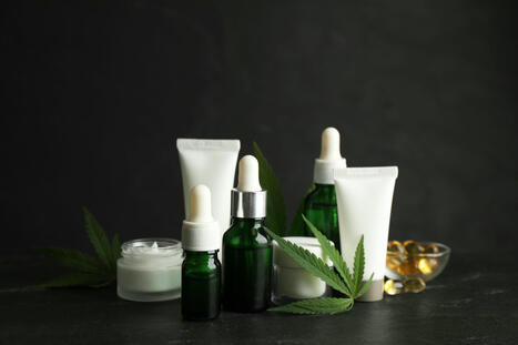 L’Anses propose de classer le cannabidiol (CBD) comme “présumé toxique pour la reproduction humaine” | Anses | Prévention du risque chimique | Scoop.it