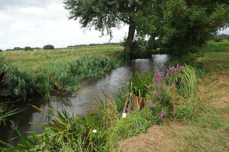 Charente-Maritime : le pari du tourisme à l’intérieur des terres | Suivi de la demande et des marchés du tourisme | Scoop.it
