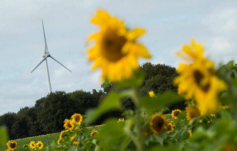 Bretagne : La région bat encore son record de production électrique d’origine renouvelable | Energies Renouvelables | Scoop.it