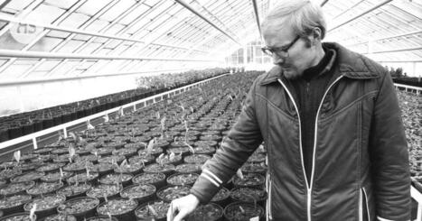 HS 50 vuotta sitten | HS.fi | 1Uutiset - Lukemisen t&auml;hden | Scoop.it