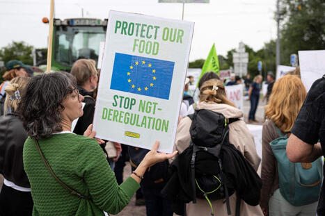 Pourquoi l&rsquo;autorisation des &laquo;&nbsp;nouveaux OGM&nbsp;&raquo; par le&nbsp;Parlement europ&eacute;en constitue un&nbsp;tournant pour le&nbsp;secteur agricole | Les Colocs du jardin | Scoop.it