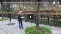 La biodiversit&eacute; urbaine, une amie qui vous veut du bien | Nature en ville | Scoop.it