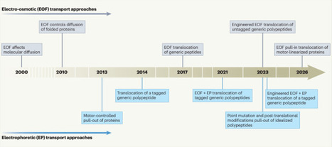 From DNA to full-length proteins through nanopore sequencing | Nnn | RMH | Scoop.it