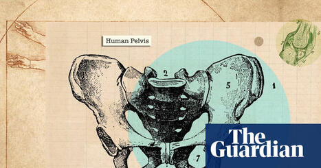 Don&rsquo;t &lsquo;over-engage your core muscles&rsquo; and other tips for looking after your pelvic floor. | Physical and Mental Health - Exercise, Fitness and Activity | Scoop.it