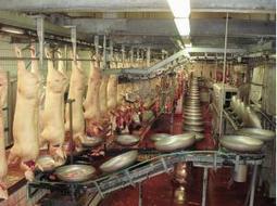 Cirhyo-Tradival, la nouvelle filière porc hors Grand Ouest | La Gazette des abattoirs | Scoop.it