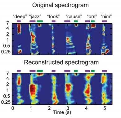 Translating Brain Waves to Reconstruct Sounds and Conversations You've Heard | Popular Science | Metaglossia: The Translation World | Scoop.it